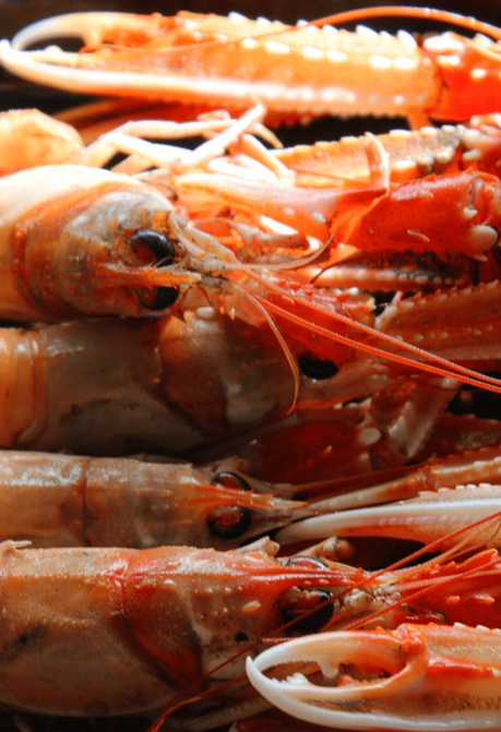 How To Peel Langoustines