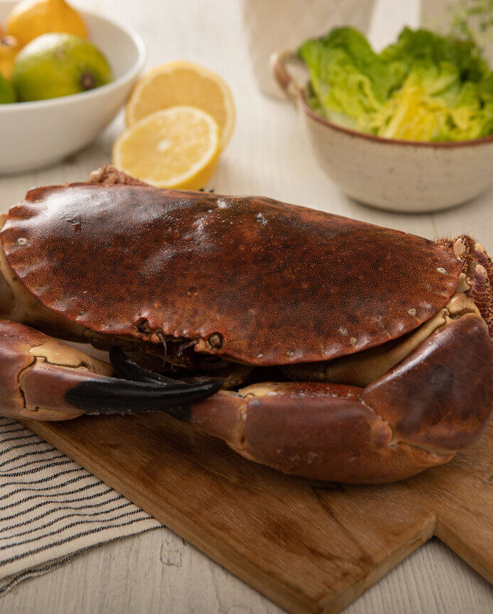 Cooked Whole Brown Crab