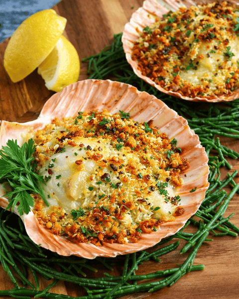 COQUILLES ST JACQUES