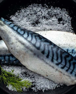 Fresh fish display