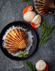 King Scallops