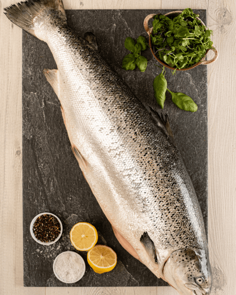 Large Whole Salmon