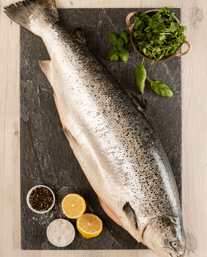 Large Whole Salmon