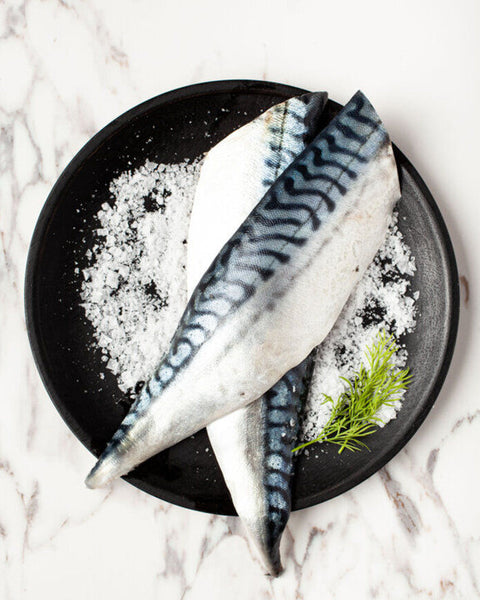 Mackerel Fillet