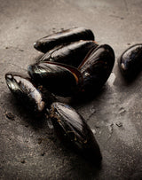 Mussels