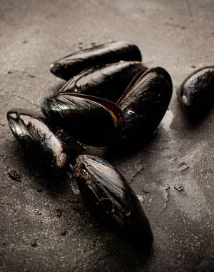 Mussels