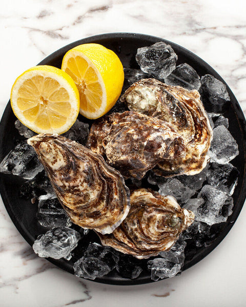 Oysters