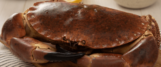 Dissecting a Crab