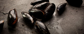 How to prepare, store and cook mussels.