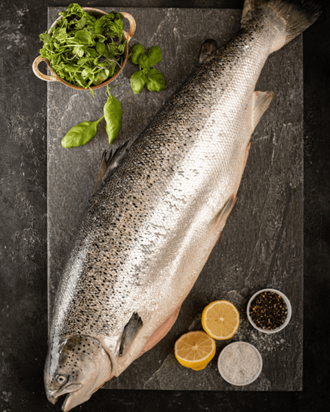 Small Whole Salmon