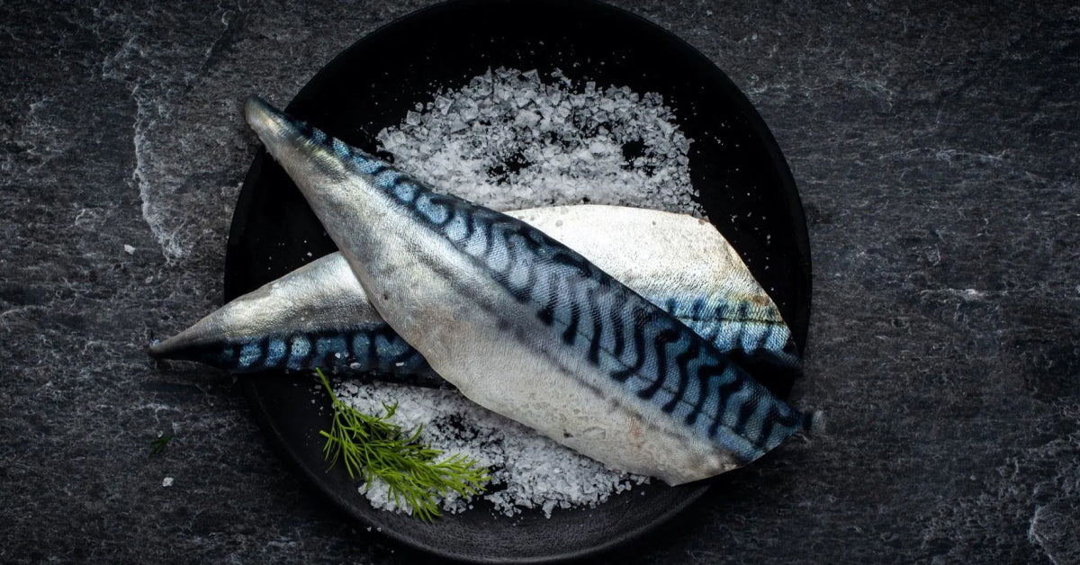 Dry Goods – The Fish People