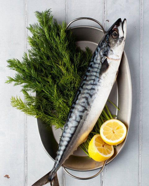 Whole Mackerel